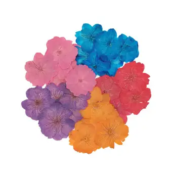 120 бр 30-35 мм черешови цветове Пресовани сушени цветя пълнител за производство на бижута от епоксидна смола Рамка за пощенски картички калъф за телефон Занаят САМ